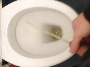 harig eigengemaakt olie- publiek spuitende toilet